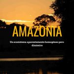 La Amazonía, nuestra riqueza que debemos preservar