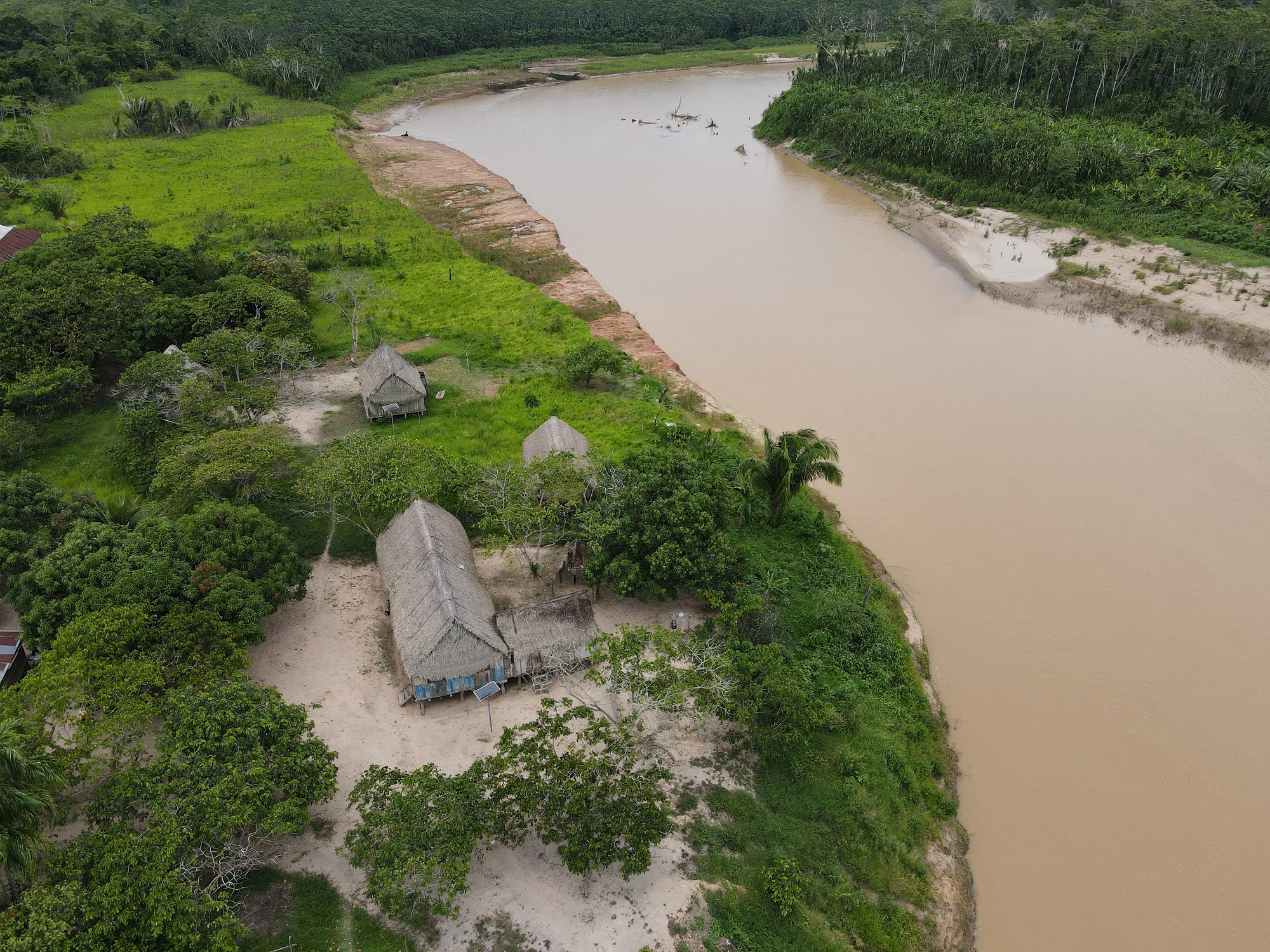 Río Purús-Ucayali-Perú-foto:David Rodríguez de Souza-Amazonia Rainforest