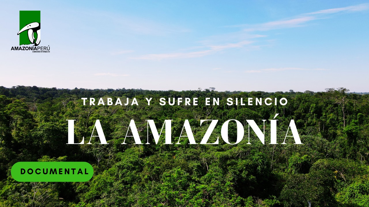 LA AMAZONÍA Trabaja y Sufre en Silencio