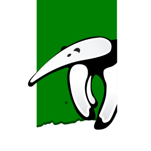 LOGO AMAZONÍA PERÚ NEGRO - 2023