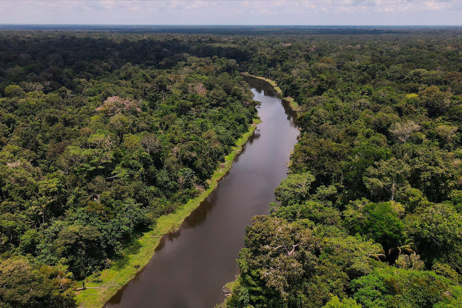 amazonia-peru-conozcamos-otras-amazonias
