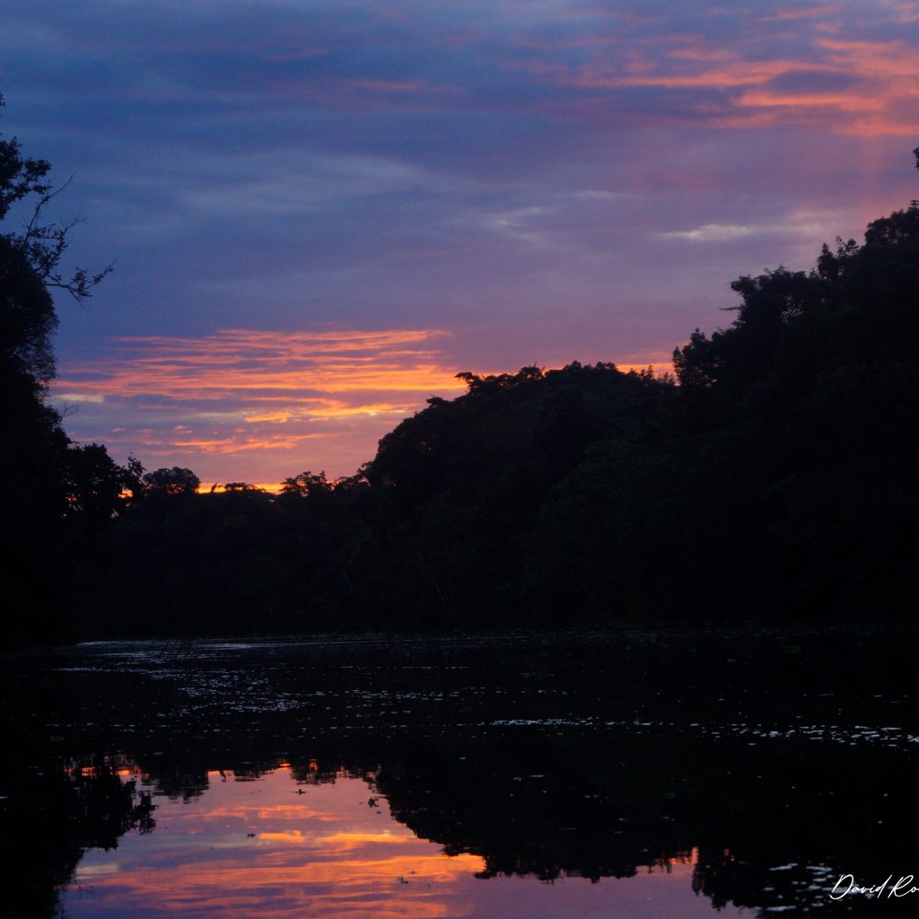 el-dorado-atardecer-en-la-reserva-pacaya-samiria