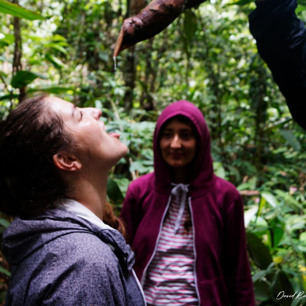 el-dorado-caminata-en-la-selva