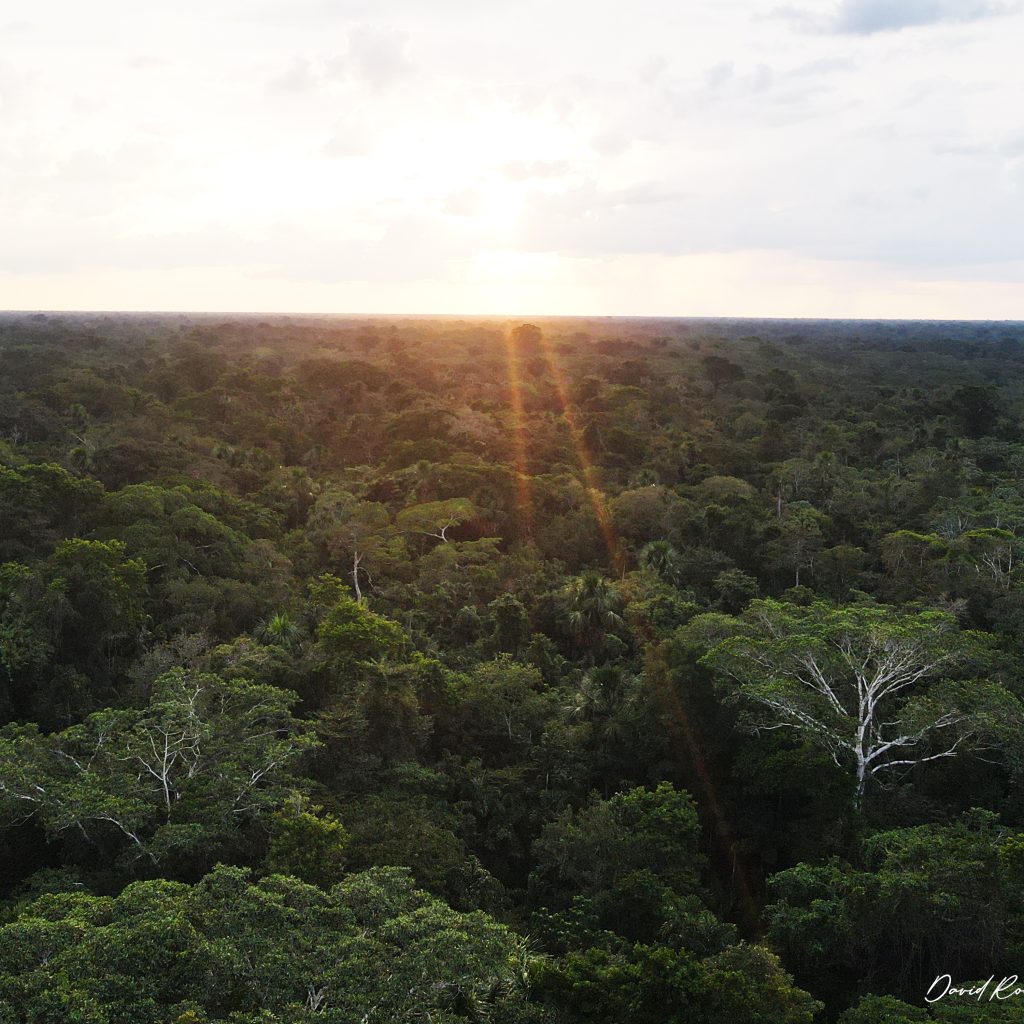 pacaya-samiria-adventure-drone-1024x1024
