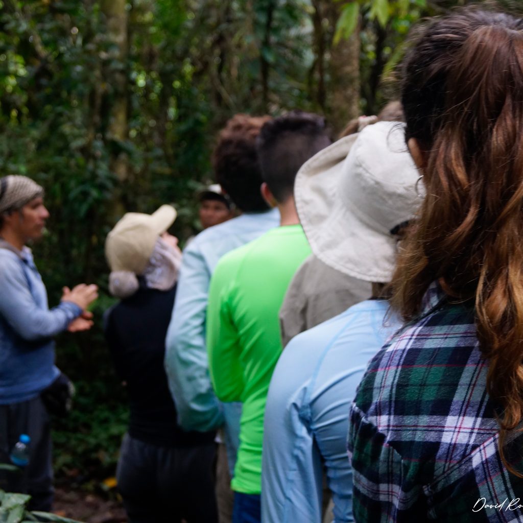 pacaya-samiria-expeditions-caminata-en-la-selva