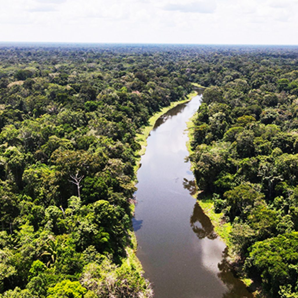 pacaya-samiria-explorer-1024x1024