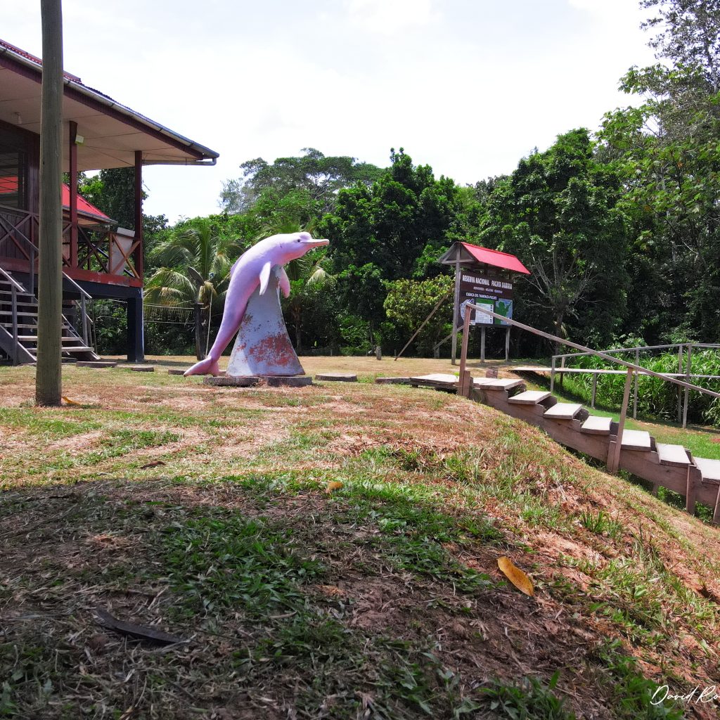 pacaya-samiria-explorer-puesto-de-control