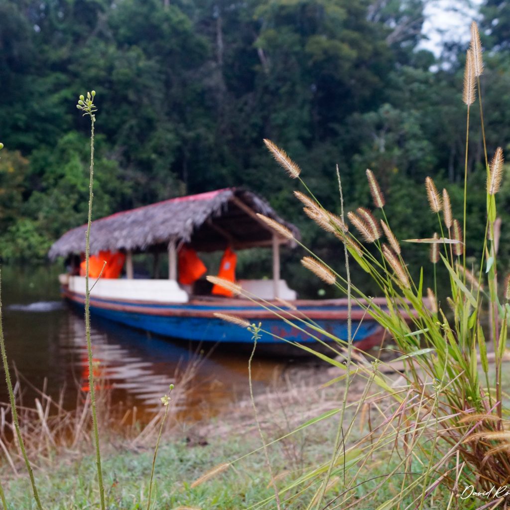 selva-de-los-espejos-bote-tipico-de-la-selva